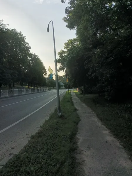 Відновленню не підлягає: у Володимирі авто протаранило електроопору (фото)
