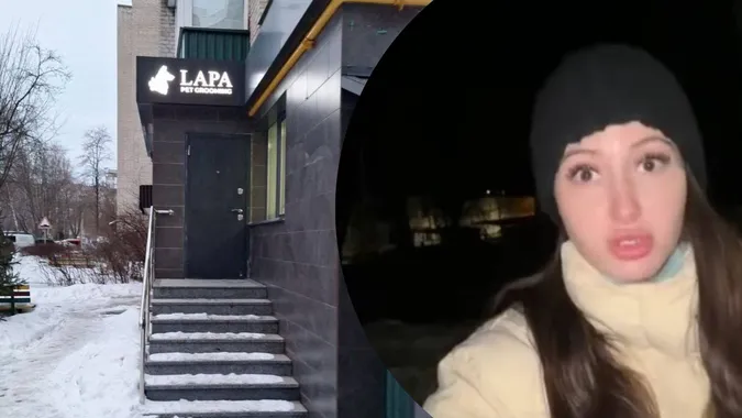 Скандал у Луцьку: чому мунварта видала припис популярному грумінг-салону (відео)
