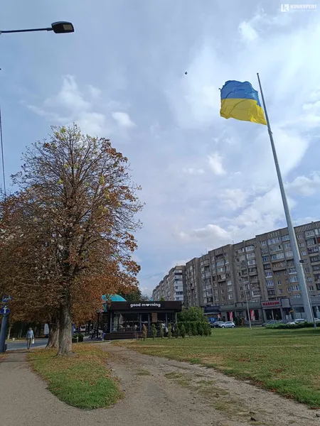 Аномалія: у Луцьку знову заквітли каштани (фото)
