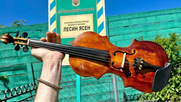 Друге життя Лесиного ясена: у Луцьку зі знаменитого дерева створюють столи та музичні інструменти (фото)