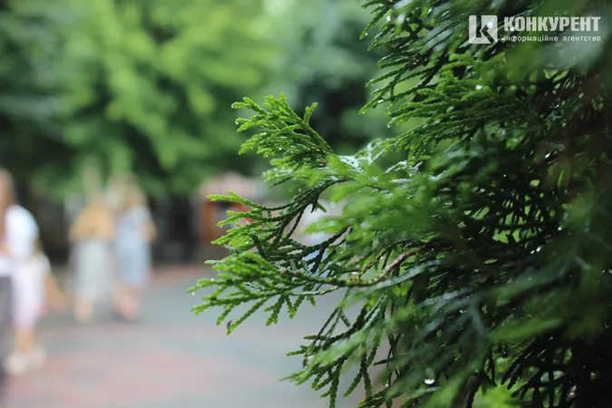 Мокрий Луцьк. Фоторепортаж із міста після дощу