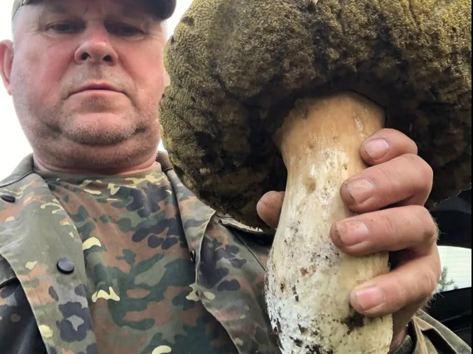 У Луцькому районі чоловік знайшов гриб аномального розміру (відео)
