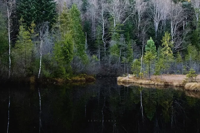 Фото: Анастасія Дерюгіна