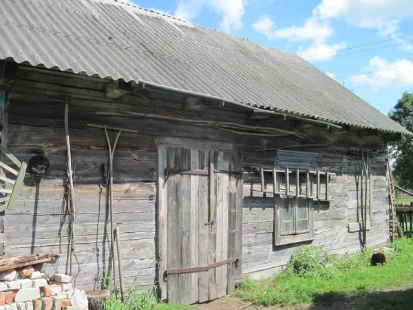 Село на краю світу: де на Поліссі ще можна побачити життя, як 200 років тому (фото)