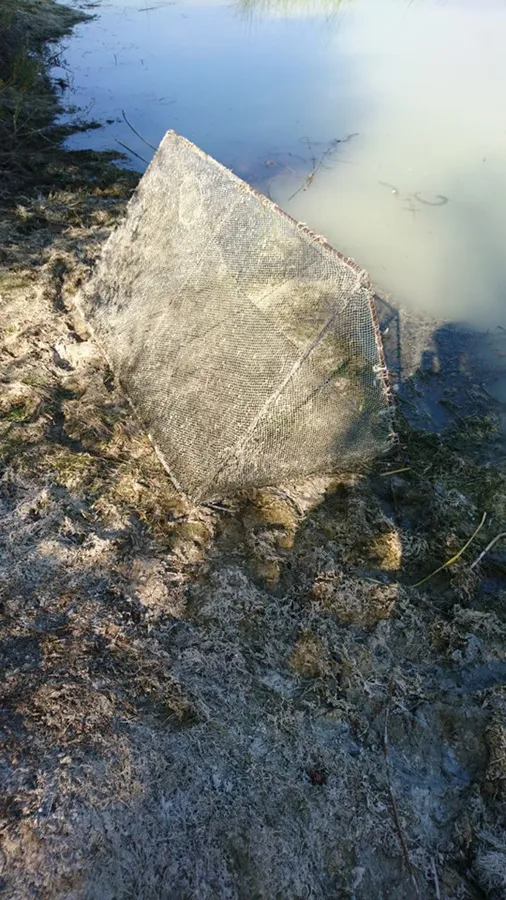 Ловили кловнею: на Волині покарали горе-рибалок