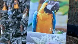 Луцький зоопарк випустив свій календар: який він має вигляд (відео)