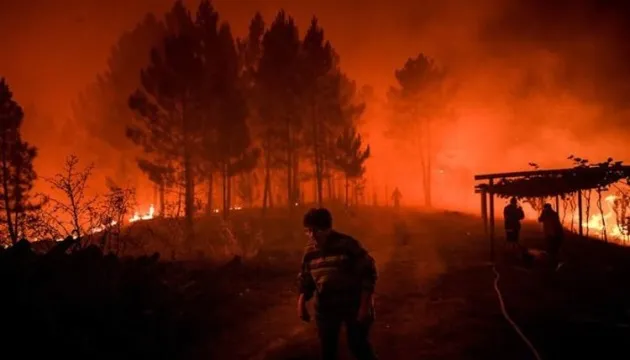 У Португалії масштабні лісові пожежі, є постраждалі (фото)