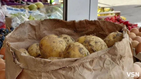 Скільки у Луцьку коштує перша молода картопля