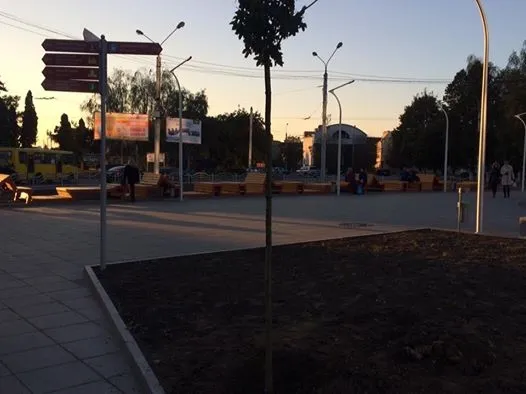 Біля луцького «Променя» садять дерева (фото)