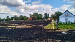 На Рівненщині під час спалювання стерні загинула 90-річна жінка (фото)