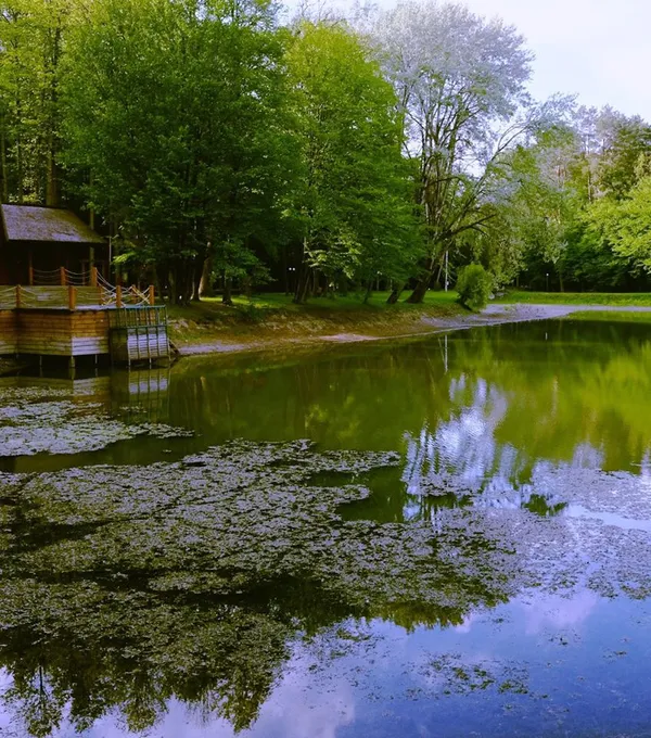 Показали красу літнього Воротнева (фото)
