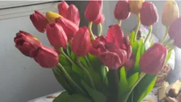 «Кавалер» подарував дівчині букет, вкрадений зі стели полеглим захисникам (фото)