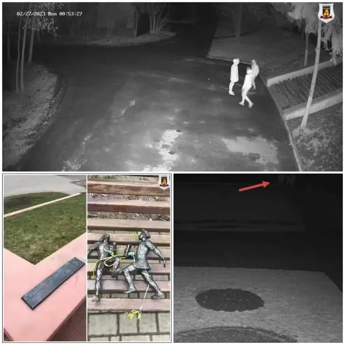 У Луцьку чоловіка судитимуть за зламаних кликунів у парку