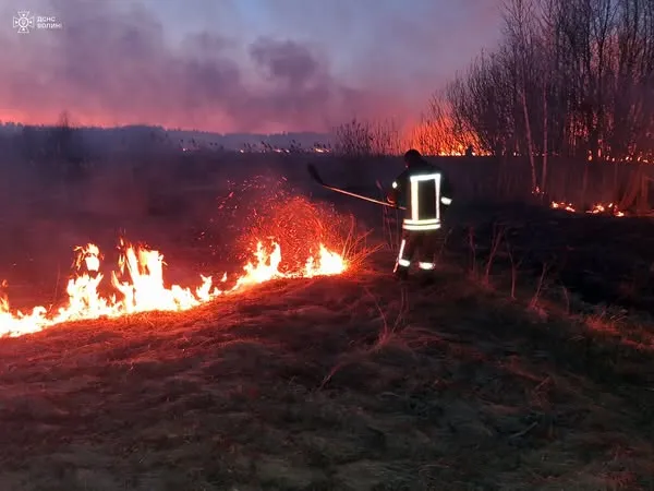 На Волині вигоріло понад 5 гектарів сухостою (фото)