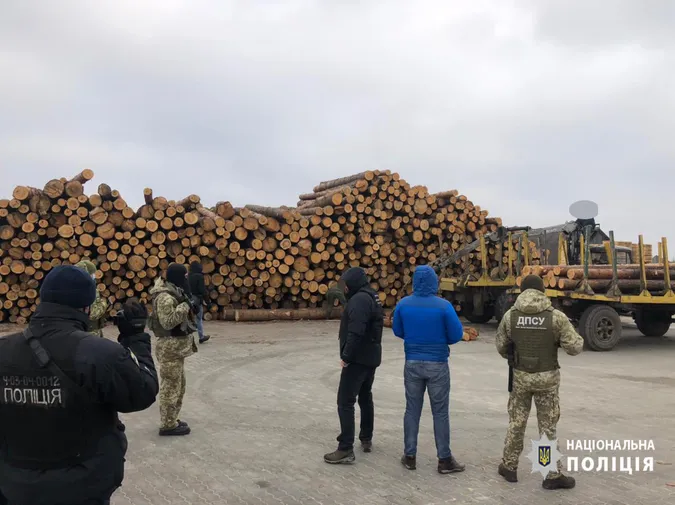 Деревина і бурштин: на волинських лісопильнях – масові обшуки (фото, відео)