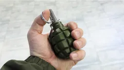 У Луцьку чоловік хотів обміняти дітей на відстрочку, погрожуючи гранатою (відео)