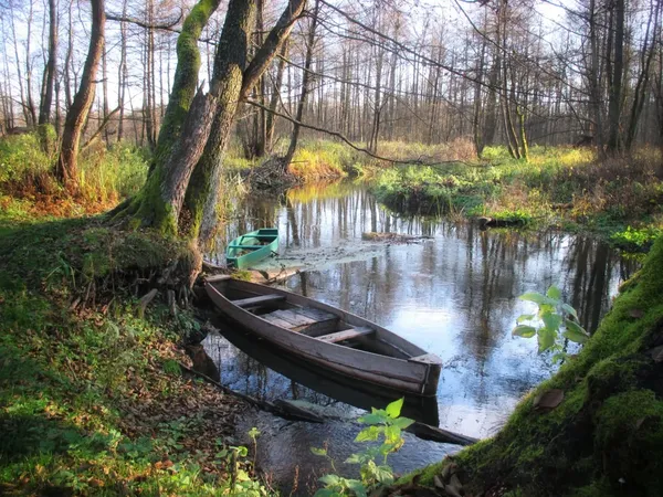 Волинське село, яке двічі «виселяли», лише у 90-х отримало світло (фото)
