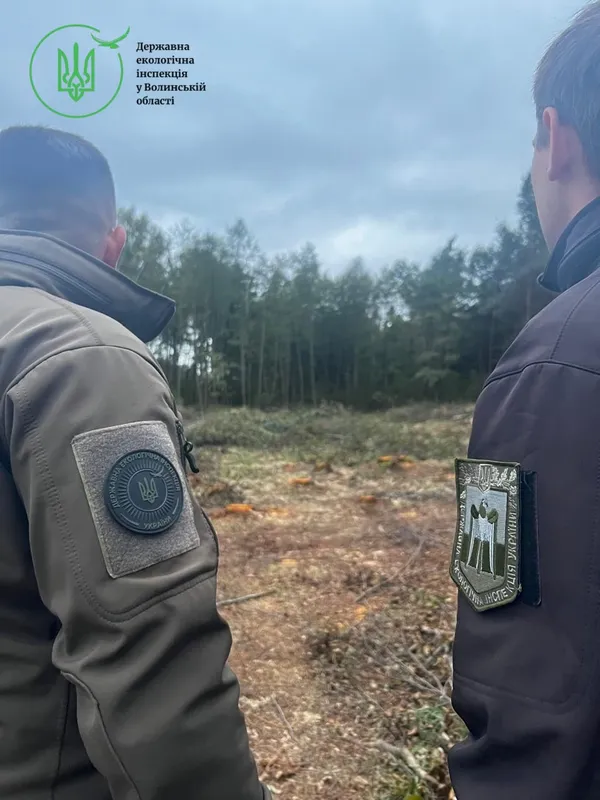 Пиляли, поки не приїхали інспектори: на Волині викрили незаконну рубку дерев (фото)