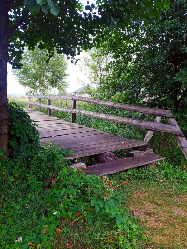 Туман, прохолода і майже осіння краса: показали краєвиди озера на Волині (фото)