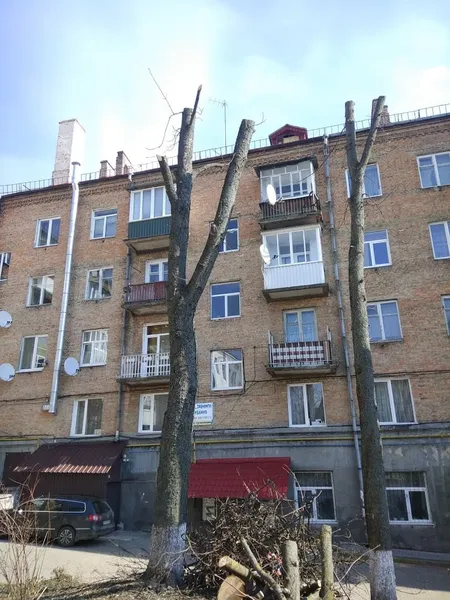 У Луцьку знову «по-варварськи» кронують дерева (фотофакт)