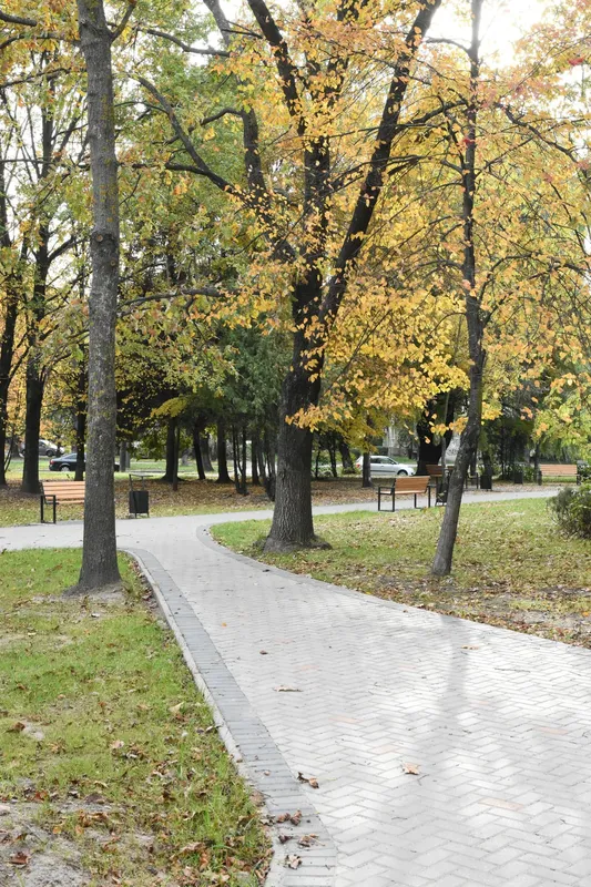 «Встановили лавки та висадили дерева»: у Луцьку завершують облаштування скверу (фото, відео)