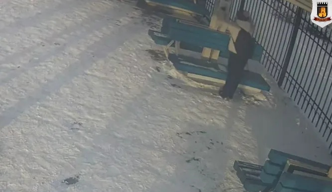 У Луцьку оштрафували жінку, яка пропонувала роботу на зупинці (відео)