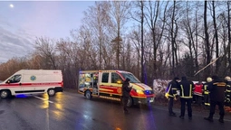 Бус злетів у кювет і врізався в дерево: подробиці смертельної ДТП у Луцькому районі (фото)