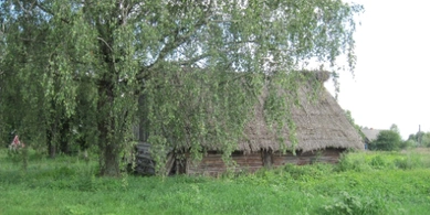 Село на краю світу: де на Поліссі ще можна побачити життя, як 200 років тому (фото)