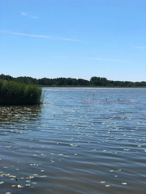 Не лише Світязь: на Шацьких озерах причаїлася мальовнича водойма з моторошною назвою (фото)