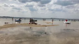 Світязь міліє: як його рятувати (відео)