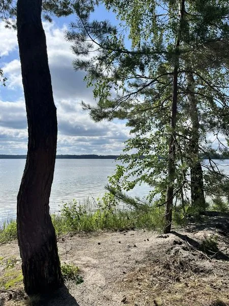 Ніжна, як молоко: на Волині є озеро зі «срібною» водою (фото)