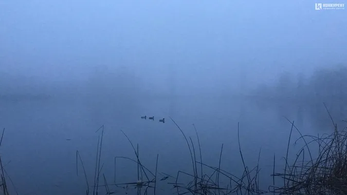 Напередодні Нового року Луцьк огорнув туман (фото)