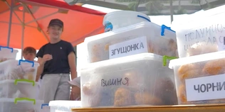 Скільки заробляють продавці легендарних пончиків на Світязі (відео)