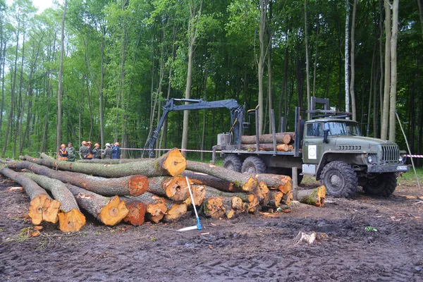 Гідроманіпулятор – спецтехніка, призначена для відвантаження лісопродукції. Цей транспорт необхідний для того, щоб максимально швидко вивезти деревину з лісу та переробити.