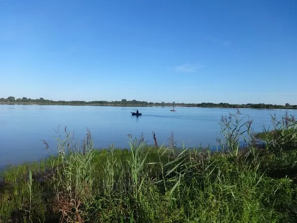 Мандрівник розповів про «чудо-юдо» на шляху до чистого озера на Волині (фото)