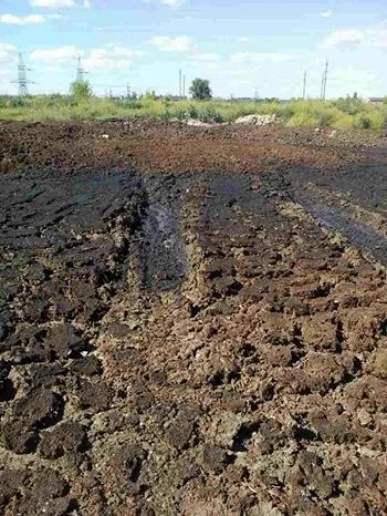 Сморід на Львівській: знайшли ще одну причину (фото) 