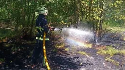 Дві пожежі за день: на Волині вигоріло майже 2 гектари сухостою (фото)
