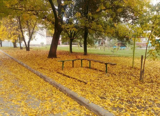 Без опадів і тепліше: погода у Луцьку на четвер, 22 жовтня