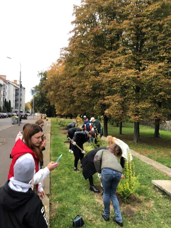 Парки, сквери, вулиці: у Луцькій громаді восени висадили 254 дерева та 285 кущів (фото)