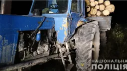 Волинянин вкрав у лісництві 30 колод сосни (фото)