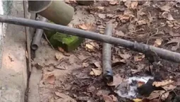 У Луцьку зливали нечистоти на вулицю (фото)