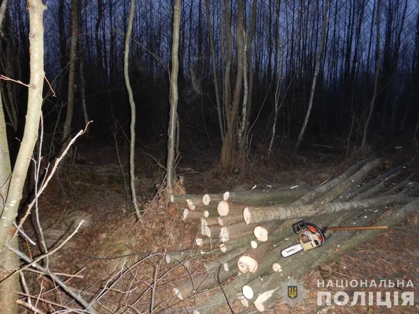 На Волині затримали двох «чорних лісорубів»