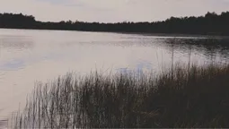 По-осінньому нахмурене: показали краєвиди озера на Волині (фото)