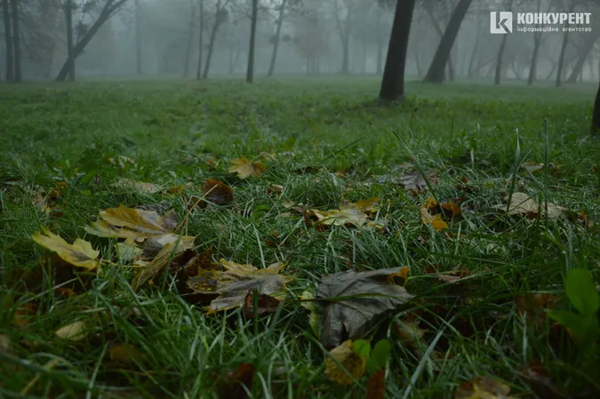 Центральний парк Луцька у ранковому тумані (фото)
