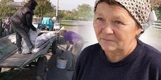 «Ділимося тим, що маємо»: волинське село зібрало тонни овочів для лікарні (фото)