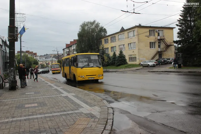 Підтоплені двори і опале листя: наслідки грози у Луцьку (фото)