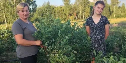 Сімейна справа, яка об'єднує: як родина з Волині розвиває бізнес на лохині (фото)