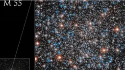NASA показала кулясте зіркове скупчення Мессьє 55 (фото)