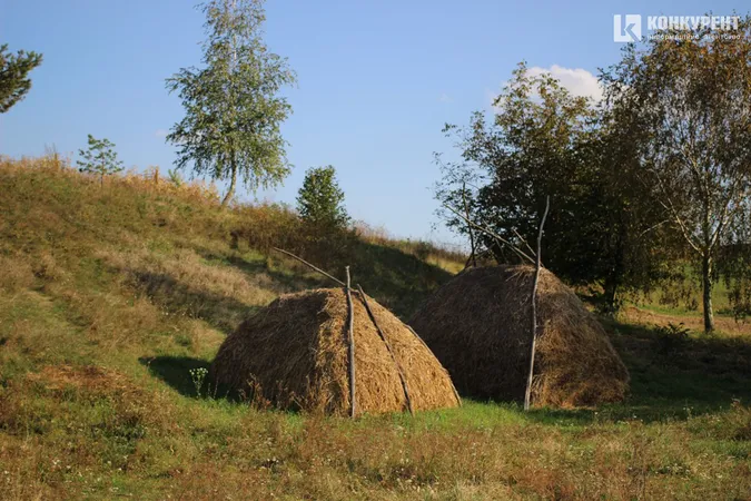 Бабине літо у селі під Луцьком (фото)