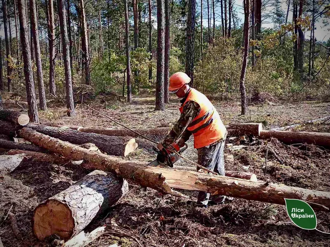 У волинських лісах досі долають наслідки серпневого буревію (фото)